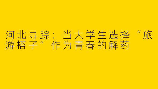河北寻踪:当大学生选择“旅游搭子”作为青春的解药
