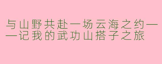 与山野共赴一场云海之约——记我的武功山搭子之旅