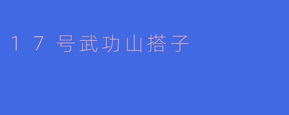 17号武功山搭子