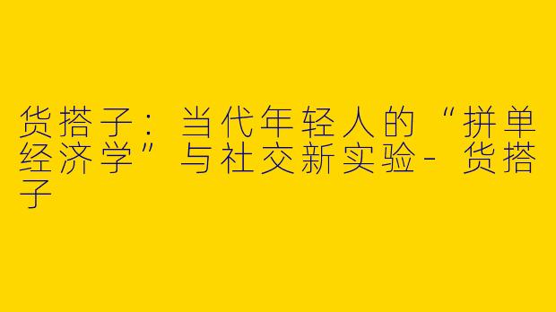货搭子：当代年轻人的“拼单经济学”与社交新实验-货搭子