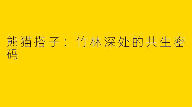 熊猫搭子:竹林深处的共生密码