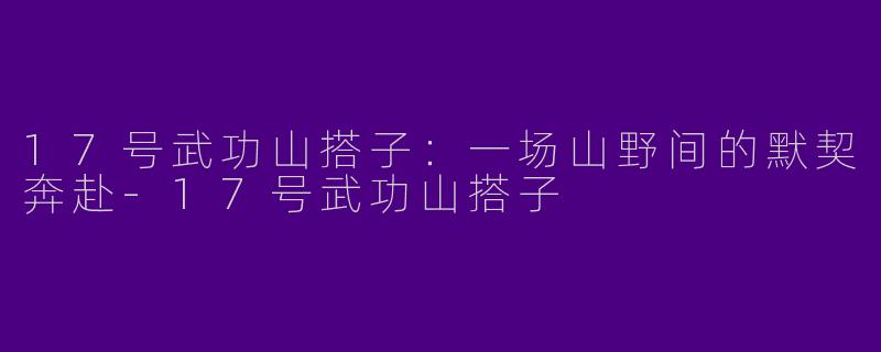 17号武功山搭子：一场山野间的默契奔赴-17号武功山搭子
