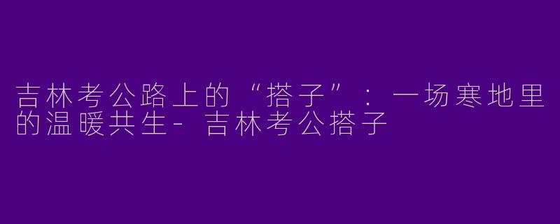 吉林考公路上的“搭子”：一场寒地里的温暖共生-吉林考公搭子