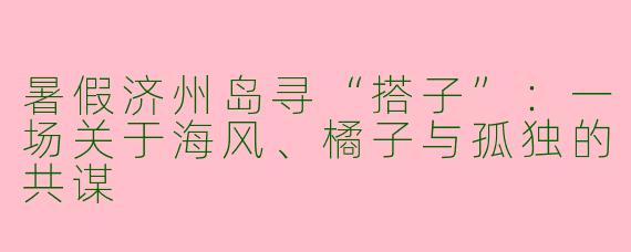 暑假济州岛寻“搭子”:一场关于海风、橘子与孤独的共谋