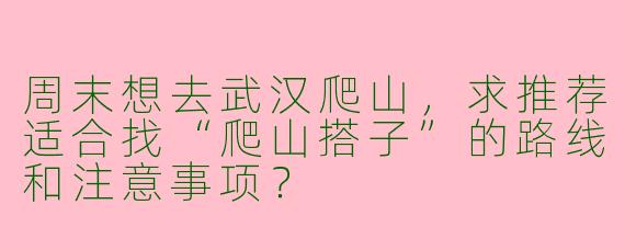周末想去武汉爬山，求推荐适合找“爬山搭子”的路线和注意事项？