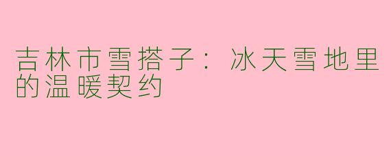 吉林市雪搭子：冰天雪地里的温暖契约