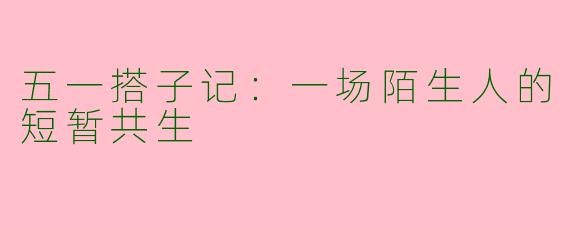 五一搭子记：一场陌生人的短暂共生