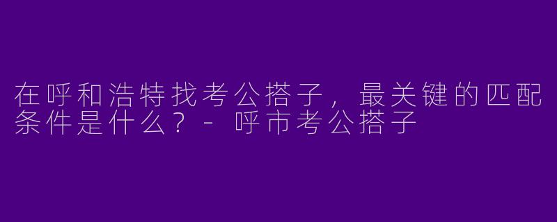 在呼和浩特找考公搭子，最关键的匹配条件是什么？-呼市考公搭子