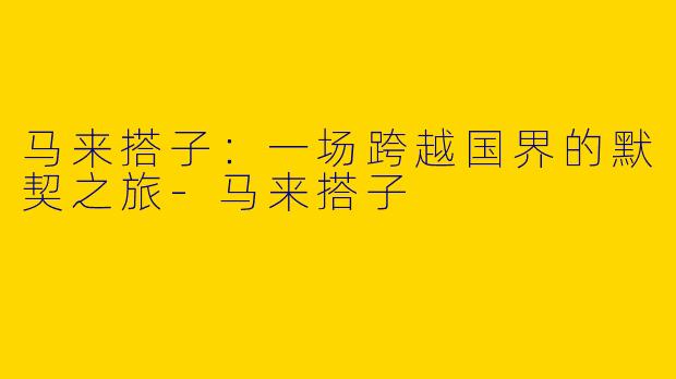 马来搭子:一场跨越国界的默契之旅-马来搭子