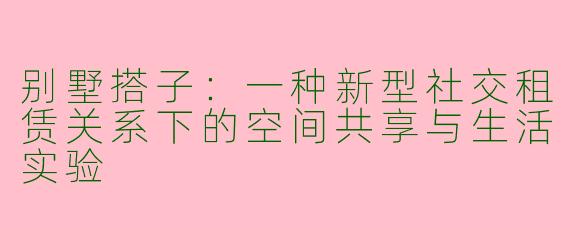 别墅搭子：一种新型社交租赁关系下的空间共享与生活实验