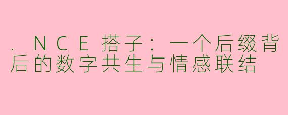 .NCE搭子：一个后缀背后的数字共生与情感联结