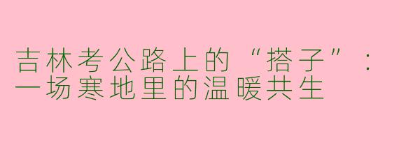 吉林考公路上的“搭子”：一场寒地里的温暖共生
