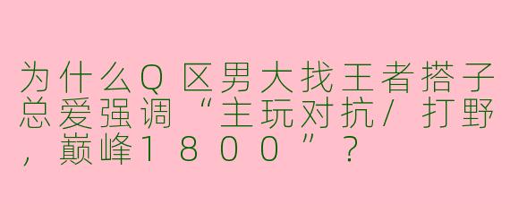 为什么Q区男大找王者搭子总爱强调“主玩对抗/打野,巅峰1800”?