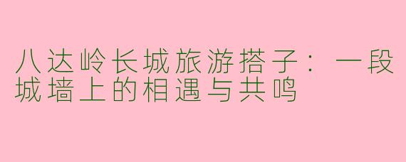 八达岭长城旅游搭子：一段城墙上的相遇与共鸣