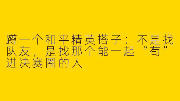 蹲一个和平精英搭子：不是找队友，是找那个能一起“苟”进决赛圈的人