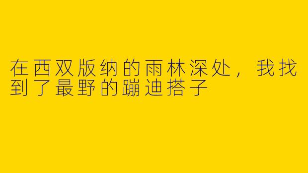 在西双版纳的雨林深处，我找到了最野的蹦迪搭子