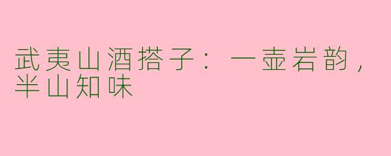 武夷山酒搭子：一壶岩韵，半山知味