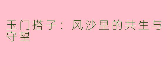 玉门搭子：风沙里的共生与守望