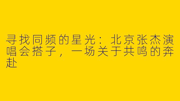 寻找同频的星光:北京张杰演唱会搭子,一场关于共鸣的奔赴