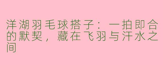 洋湖羽毛球搭子:一拍即合的默契,藏在飞羽与汗水之间