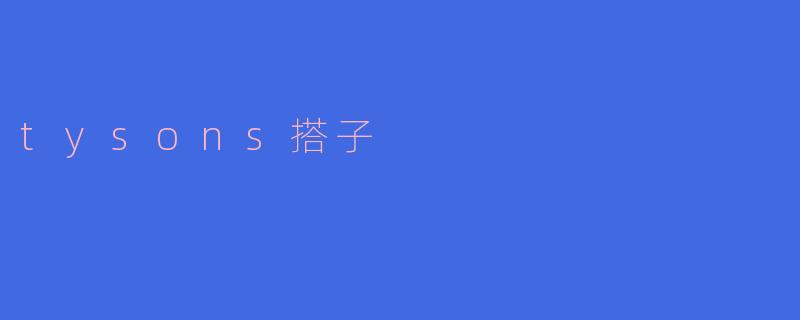 tysons搭子