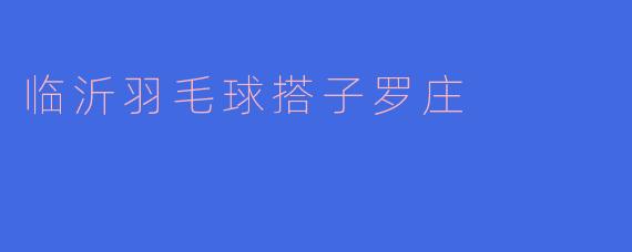 临沂羽毛球搭子罗庄
