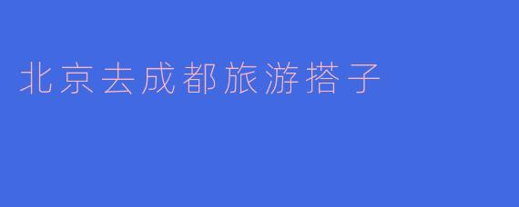 北京去成都旅游搭子