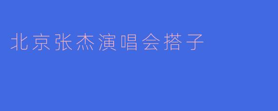 北京张杰演唱会搭子