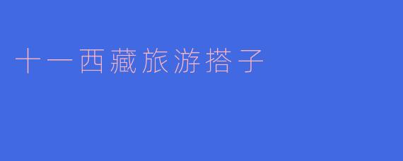 十一西藏旅游搭子