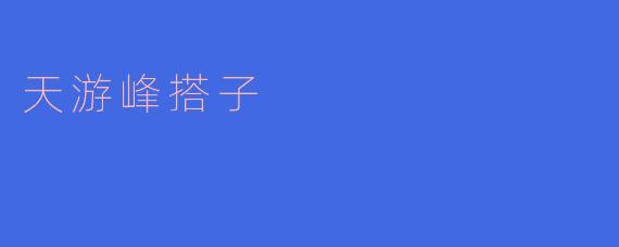 天游峰搭子