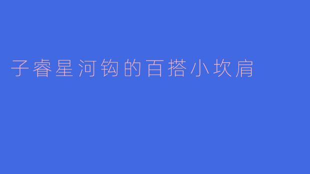 子睿星河钩的百搭小坎肩