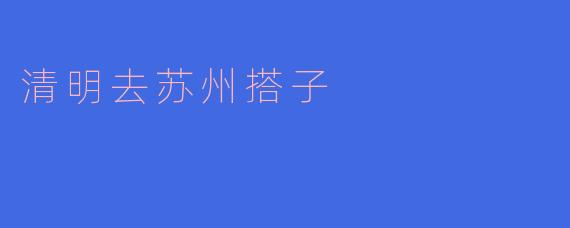 清明去苏州搭子