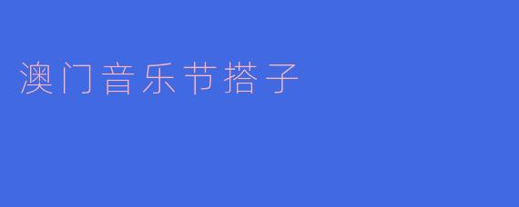 澳门音乐节搭子