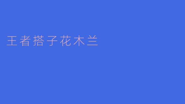 王者搭子花木兰
