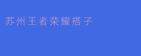 苏州王者荣耀搭子