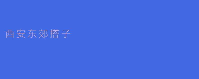 西安东郊搭子