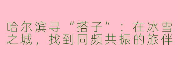 哈尔滨寻“搭子”：在冰雪之城，找到同频共振的旅伴