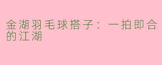金湖羽毛球搭子:一拍即合的江湖