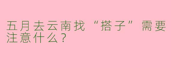 五月去云南找“搭子”需要注意什么？