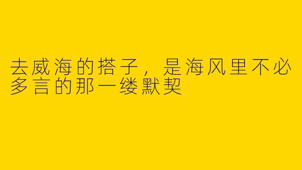 去威海的搭子，是海风里不必多言的那一缕默契