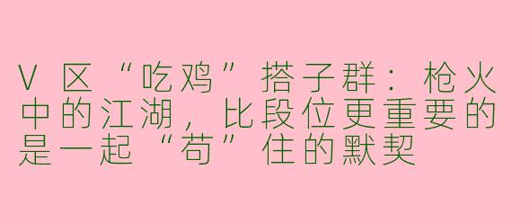 V区“吃鸡”搭子群:枪火中的江湖,比段位更重要的是一起“苟”住的默契