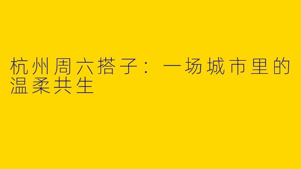 杭州周六搭子：一场城市里的温柔共生