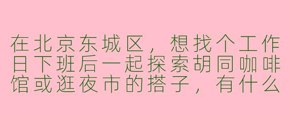 在北京东城区,想找个工作日下班后一起探索胡同咖啡馆或逛夜市的搭子,有什么推荐的方式?