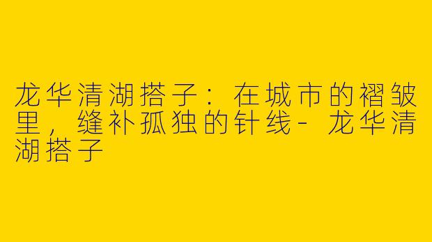 龙华清湖搭子:在城市的褶皱里,缝补孤独的针线-龙华清湖搭子