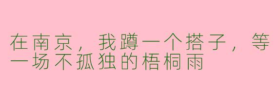 在南京，我蹲一个搭子，等一场不孤独的梧桐雨