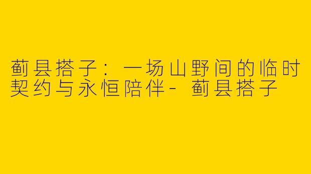 蓟县搭子：一场山野间的临时契约与永恒陪伴