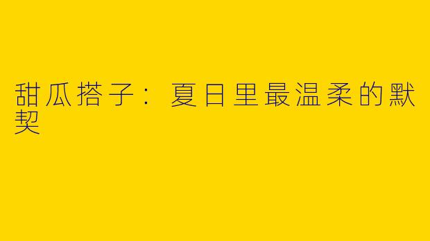 甜瓜搭子:夏日里最温柔的默契