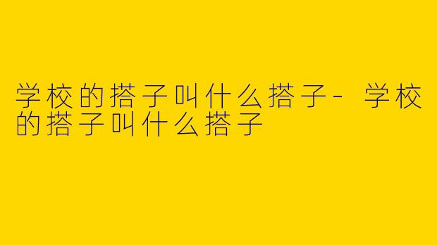 学校的搭子叫什么搭子