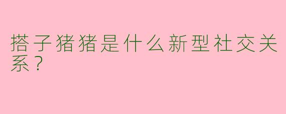 搭子猪猪是什么新型社交关系？