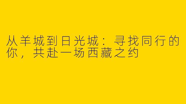 从羊城到日光城:寻找同行的你,共赴一场西藏之约
